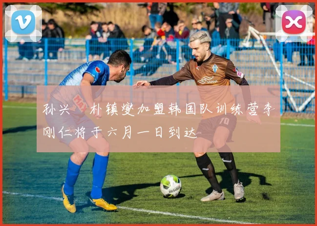 孙兴慜朴镇燮加盟韩国队训练营李刚仁将于六月一日到达