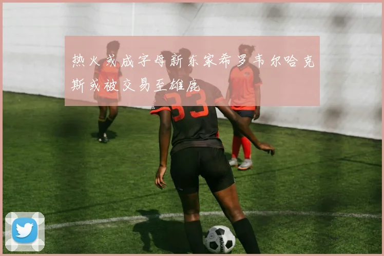 热火或成字母新东家希罗韦尔哈克斯或被交易至雄鹿